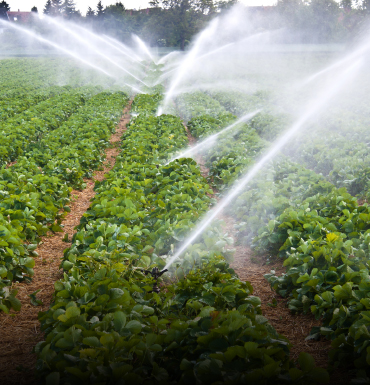agriculture pumps